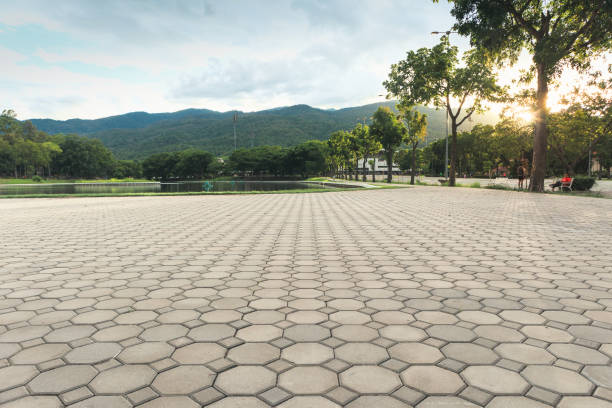 Best Driveway Paver Repair  in Myrtle Grove, NC